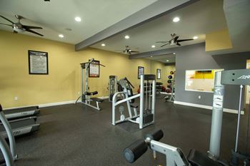 Gym equipment